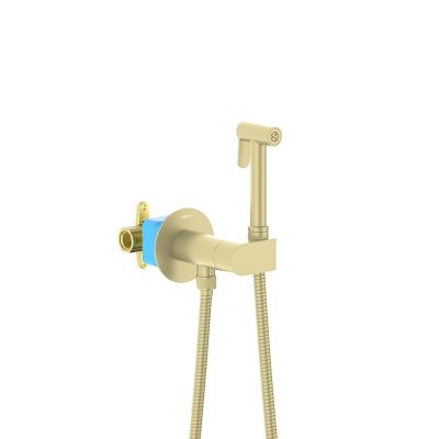 Комплект для гигиенического душа встроенный (смеситель с прогрессивным картриджем + гигиеническая лейка + шланг) AQUATEK, шлиф.золото AQ1024BG Оберон
