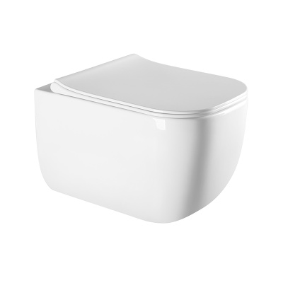 PINTO RIMLESS Безободковый подвесной унитаз, EWC700-126W, Белый, Санфарфор