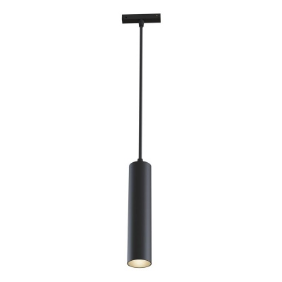 Трековый светодиодный светильник Maytoni Track Lamps TR016-2-12W4K-B