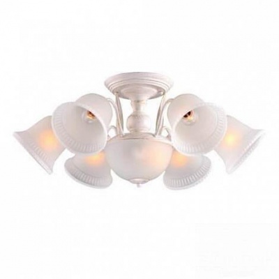 Arte Lamp CAMPANULA Потолочные светильники A6306PL-8WG